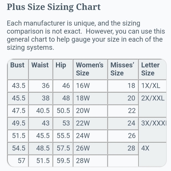 Vtg RAIMENT FASHIONS Chiffon Rose Cascade Sleeve Formal Dress - Picture 9 of 12